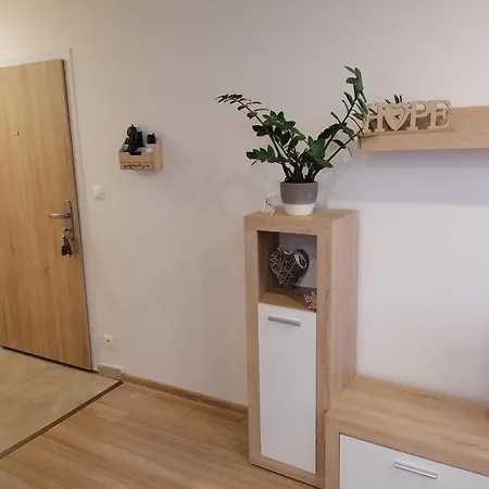 Krasny, Svetly 2-izbovy Apartman Apartment Poprad